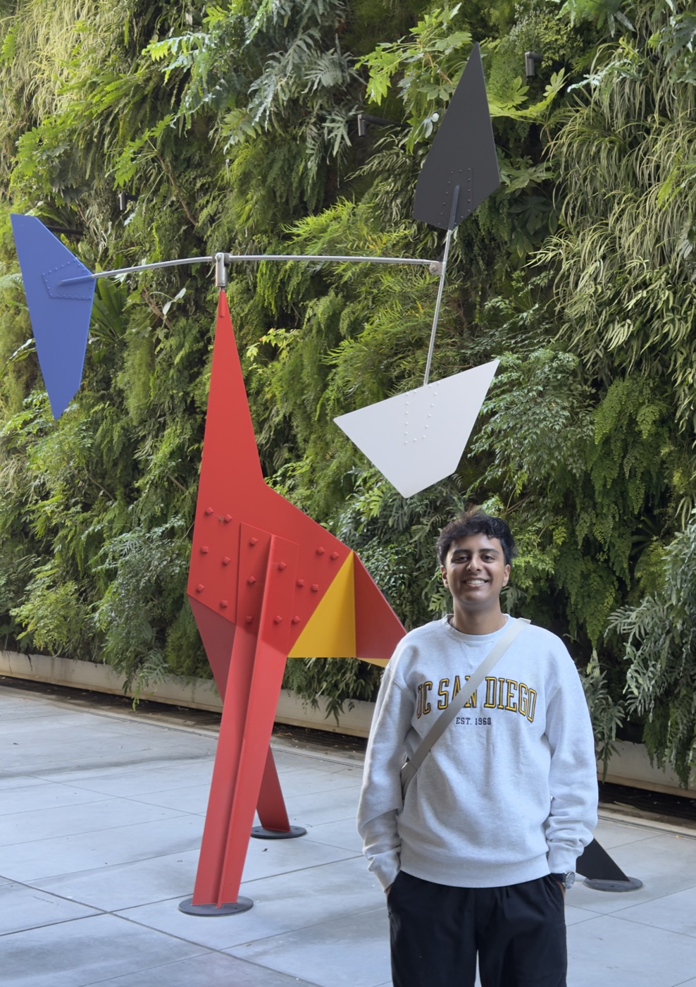 at ucsd